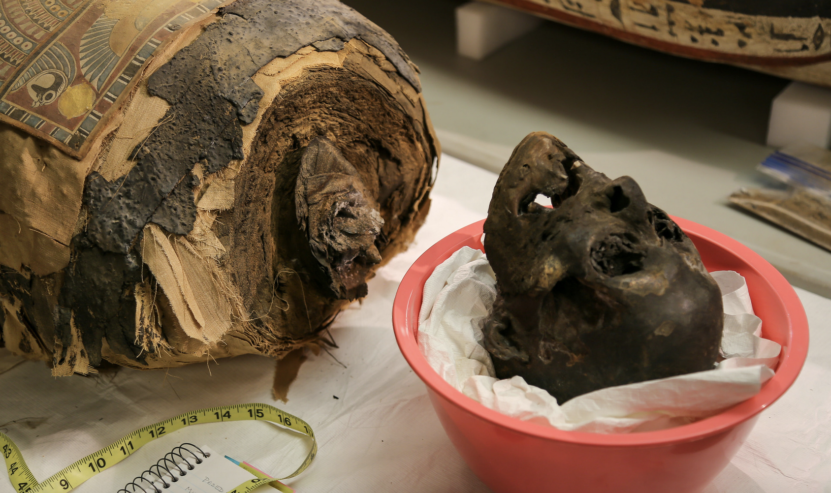 Lady Pesed, Westminster’s 2,300-year-old mummy, undergoes restoration